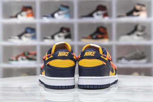 Nike SB Dunk Low - White University