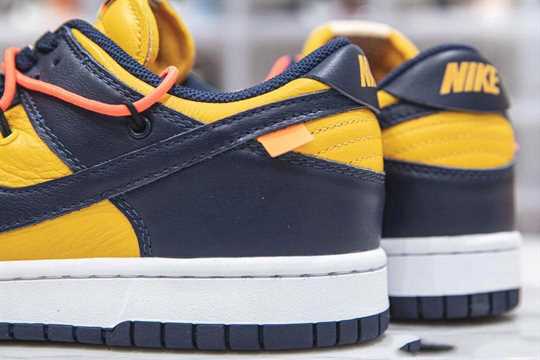 Nike SB Dunk Low - White University