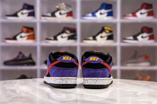 Nike SB Dunk Low - ACG Terra